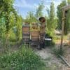 Drohungen, Brandschutz und ein Bienenstich: Imkerin Hanna und ihre Bienen sollen vom Berliner RAW-Gelände verschwinden