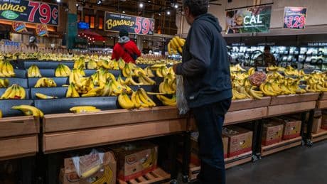 States sue USDA over efforts to gather food stamp data on tens of millions of people