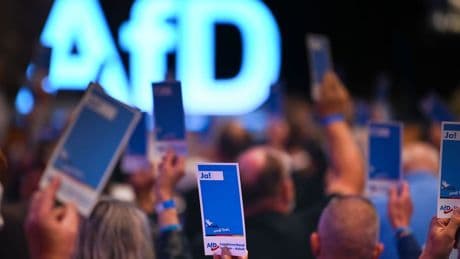 Diskussion über künftiges Logo der AfD-Parteijugend