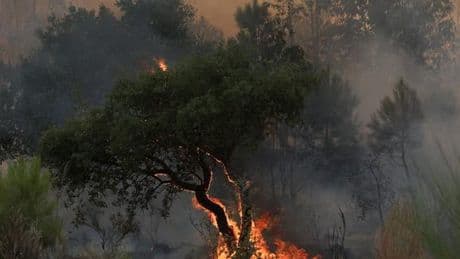 Au Portugal, un pompier meurt en luttant contre un incendie