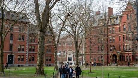 US-Bildungsministerin: Regierung streicht Harvard staatliche Zuschüsse