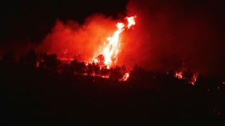 DIRECT. Incendie dans l'Aude: une femme tuée dans le "feu le plus important de l'été", 11.000 hectares désormais parcourus