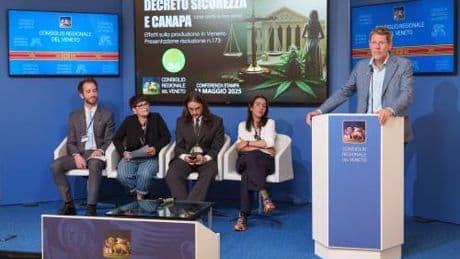 Comunicato Stampa: Masolo (Europa Verde): “Veneto: effetti devastanti del decreto sicurezza sul comparto della canapa"