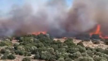 İzmir Aliağa’da otluk ve makilik alanda yangın