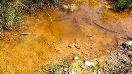 ¿Cuál es el origen del torrente salado de Avinyó?