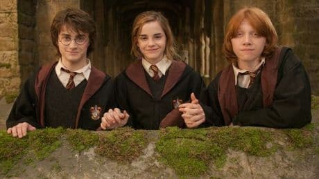 Harry Potter fans only now spot 'major flaw' in one of series' biggest moments