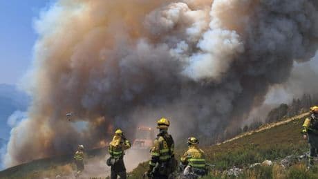 Muere un voluntario de 35 años en León que luchaba contra el incendio que traspasó la provincia de Zamora