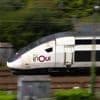En Bretagne, les passagers d’un train se plaignent d’un chat, 110 € d’amende pour ses propriétaires