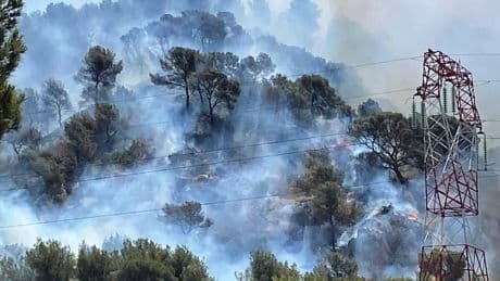 Hitzewelle in Frankreich: Waldbrände bedrohen Hafenstadt Marseille – Flughafen geschlossen