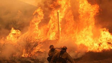 Waldbrände in Kalifornien: Hitze und Flammen in Kalifornien - Menschen auf der Flucht