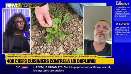 Glenn Viel, chef triplement étoilé, soutient la pétition contre la loi Duplomb