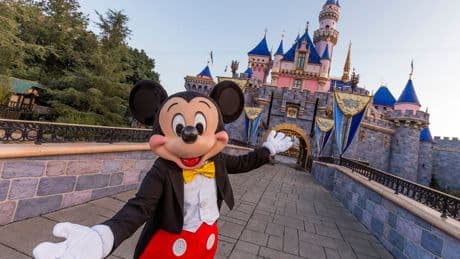 Disney sues company it claims is selling illegal Mickey Mouse jewellery