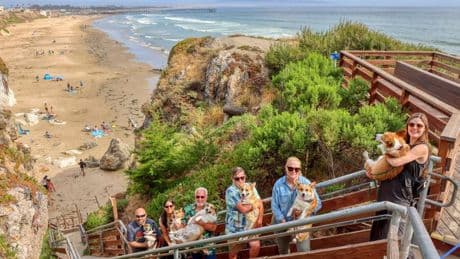 Hundreds Of Corgis To Return To Pismo Beach For Corgi Nation Vacation