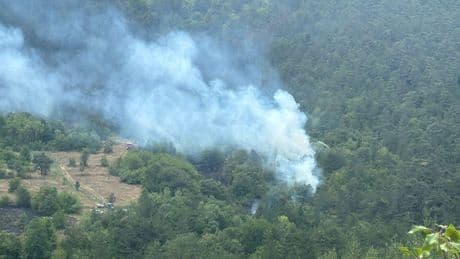 Bolu Pelitcik Köyü mevkiindeki yangın söndürüldü