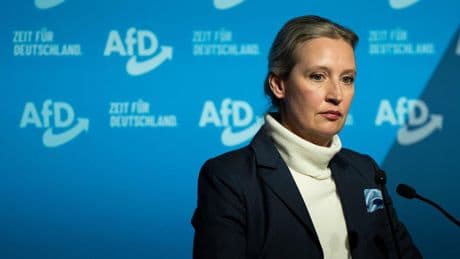 Umfrage: Wie die Deutschen zu einem AfD-Verbot stehen