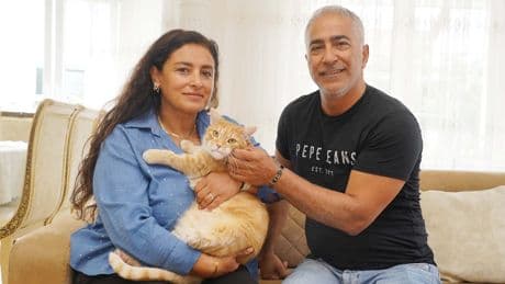 75 Kilometer entfernt gefunden - Unser Kater ist nach 8 Jahren wieder daheim
