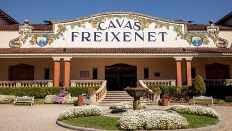 Freixenet anuncia un ERE para 180 empleados, el 24% de la plantilla, por la sequía