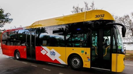 Un autobús arrolla a un grupo de cuatro ciclistas en Mallorca y mata a uno de ellos