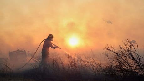 Photos of a wildfire near Athens as homes burn