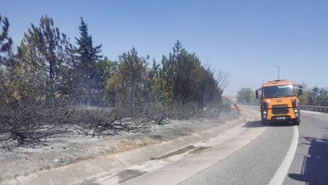 Kırklareli'nde anız yangını ağaçlık alana sıçradı:  Avrupa Otoyolu ve D-100 kara yolu trafiğe kapatıldı