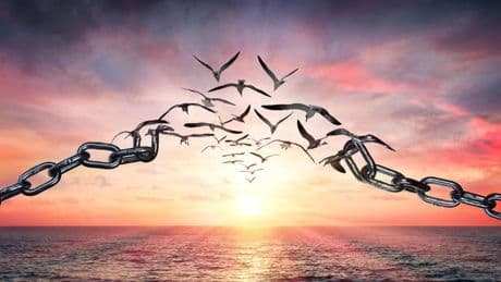 AI Is Rewriting Our Reality: Is Your Freedom Expanding Or Shrinking?