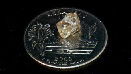 New Yorkerin findet auf Feld 2,3-Karat-Diamanten