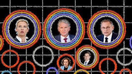 AfD ist rechtsextrem: Hier sind die Belege des Verfassungsschutzes