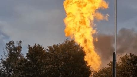 Police officer flees for cover as fireball erupts in east London wildfire