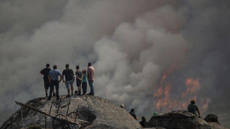 León, Zamora y Galicia siguen sufriendo los coletazos de la ola de incendios