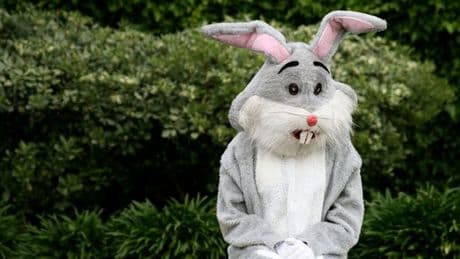 People heartbroken as 'absolutely no one' turns up to see Easter bunny at shopping centre