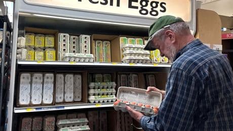 Eggs are finally getting cheaper as prices sink the most since 1984