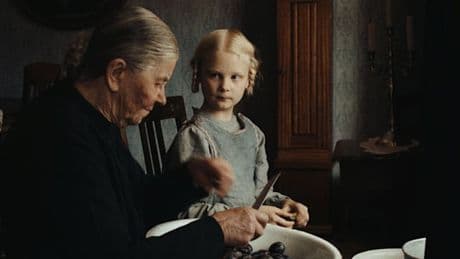 Historische Traumata, die nachkommende Generationen verfolgen