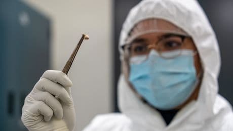 La bacteria más asesina de la historia redujo su virulencia para poder seguir matando a millones de personas