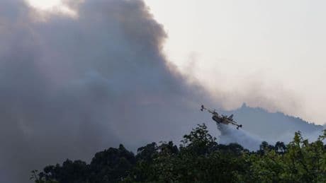 No existen los milagros: los incendios y sus soluciones son complejas