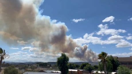 Un incendie parcourt près de 450 hectares à Narbonne, une portion de l'A9 fermée