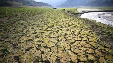 Kuraklık, gıda ve su kıtlığı kapıda! Türkiye için 2050 yılı zor geçecek