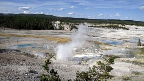 Seven dead after pickup and tour van collide near Yellowstone National Park, Idaho police say