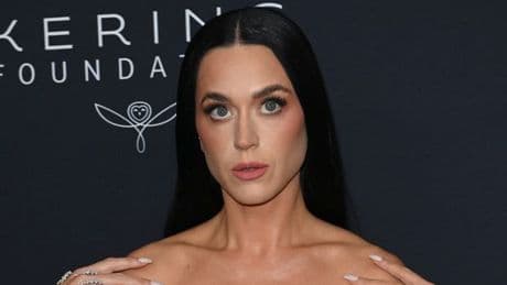 Katy Perry fined for filming music video in protected area without permission