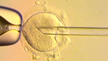 Healthy babies born in Britain after scientists used DNA from three people to avoid genetic disease