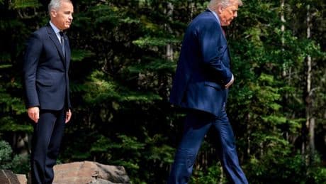 USA: Trump: Kanadas Palästina-Kurs erschwert Zolleinigung
