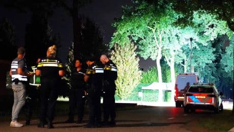 Vrouw (79) omgekomen bij verkeersongeval in Brabant, bestuurder doorgereden