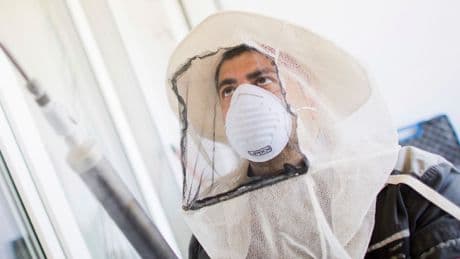 Auf Atomgelände - Arbeiter finden radioaktiv verseuchtes Wespennest