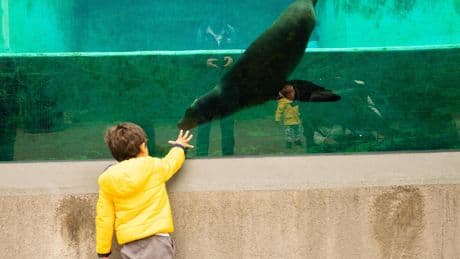 Uitslag Stelling: ’Zoo heeft zeker relevantie’