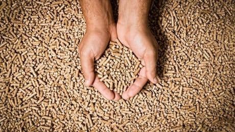 Pelletspreise (16. April): Das kostet eine Tonne