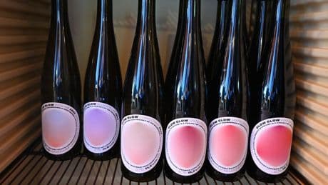 Weinwirtschaft: Wie Frauen die Winzer-Szene aufmischen