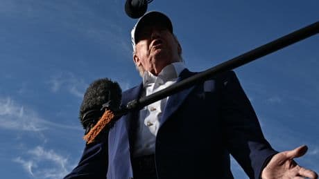 Trump Allies Echo Claims of Political Prosecution to Secure Pardons