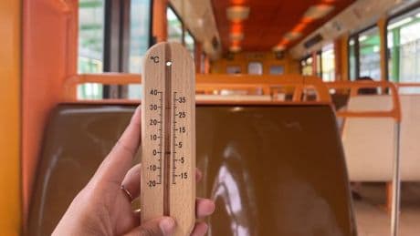 "D’ovni climatique" à modèle habituel: les canicules ressembleront-elles de plus en plus à celle de 2003?