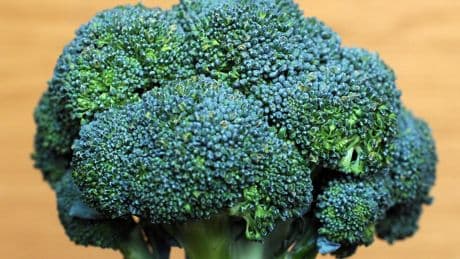 Man killed and nine rushed to hospital as broccoli recalled across Italy in deadly outbreak
