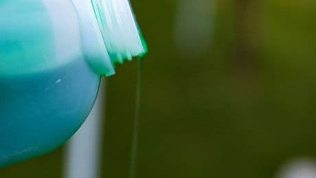 Gardeners told to pour washing up liquid on lawns to save the grass