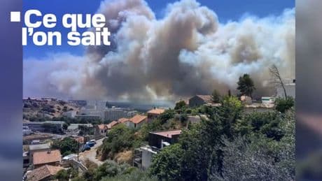 700 hectares brûlés, population confinée, évacuations... Ce que l'on sait de l'incendie à Marseille
